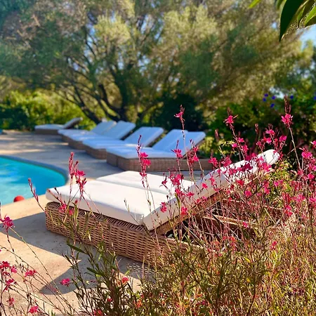 Vakantiehuis Les Amandiers Porto-vecchio *